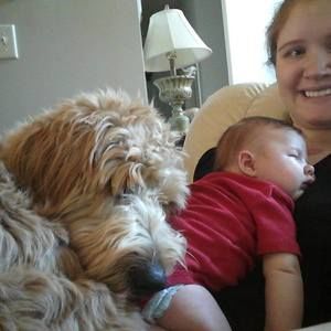 Meet your Posher, Ashley